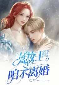《媳妇,咱不离婚》小说封面