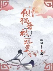 《侧福晋被一路带飞》小说封面