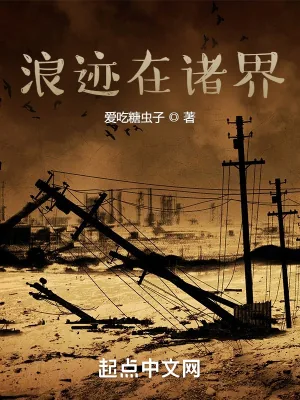 《浪迹在诸界》小说封面