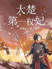 《大楚第一权妃》小说封面