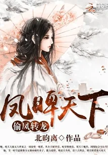 《凤睥》小说封面