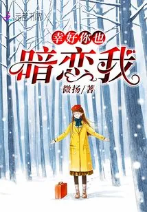 《幸好你也暗恋我》小说封面