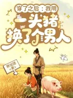 《穿了之后：我用一头猪换了个男人》小说封面