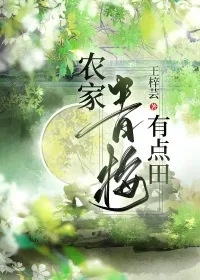 《农家青梅有点田》小说封面