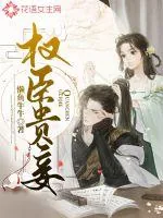 《权臣贵妾》小说封面