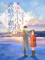 《攻略学霸的108个小技巧》小说封面