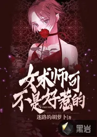 《女术师可不是好惹的》小说封面