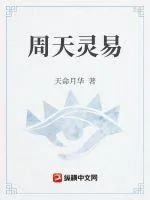 《周天灵易》小说封面