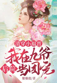 《清穿小福晋：我在九爷后院当团宠》小说封面