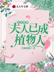 《追妻难缠:夫人已成植物人》小说封面