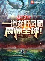 《厨师选秀,一道龙肝凤髓震惊全球!》小说封面