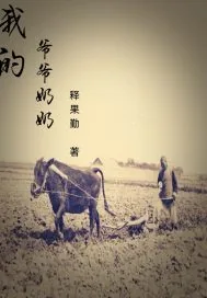 《我爷爷奶奶》小说封面