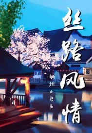 《丝路风情》小说封面