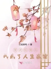 《穿进红楼后，我成了人生赢家》小说封面