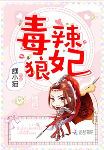 《毒辣狼妃》小说封面