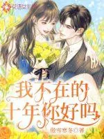 《我不在的十年你好吗》小说封面