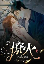 《撩火》小说封面