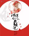 《师父个个太绝色》小说封面