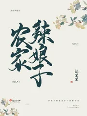 《农家辣娘子》小说封面
