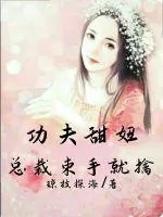 《功夫甜妞:总裁束手就擒》小说封面