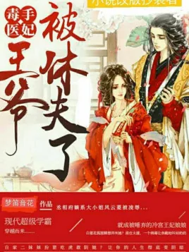 《风云菱楚炎冽》小说封面