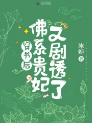 《穿书后,佛系贵妃又剧透了》小说封面