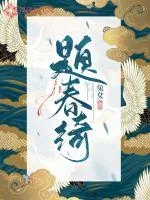 《题春绮》小说封面