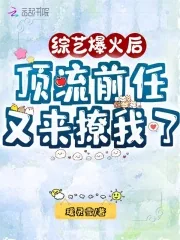 《综艺爆火后,顶流前任又来撩我了》小说封面