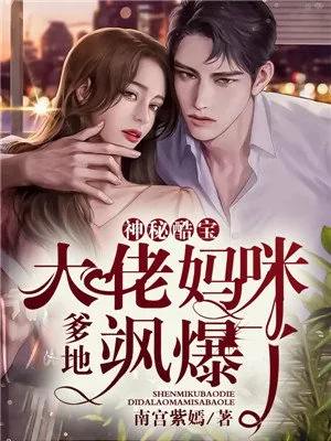 《神秘酷宝》小说封面