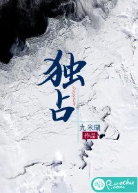 《独占》小说封面