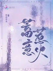 《蓄意惹火》小说封面