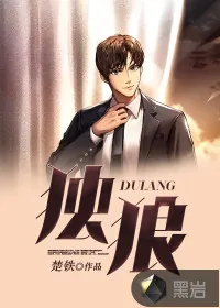 《独狼》小说封面