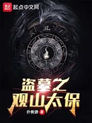 《盗墓之观山太保》小说封面