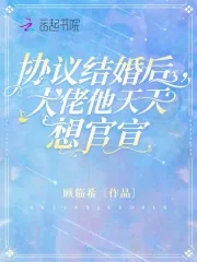 《协议结婚后，大佬他天天想官宣》小说封面