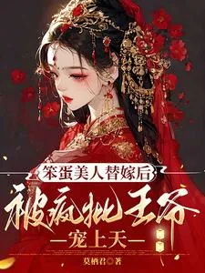《笨蛋美人替嫁后被疯批王爷宠上天》小说封面