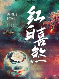 《红白喜煞》小说封面