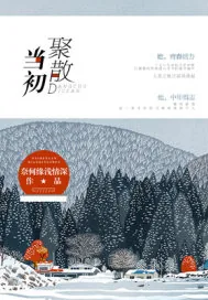 《当初聚散》小说封面