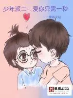 《少年派二：爱你只需一秒》小说封面