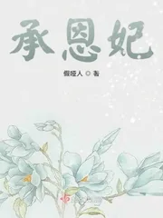 《承恩妃》小说封面