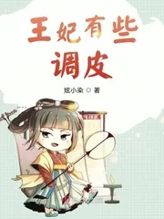 《王妃有些调皮》小说封面