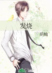 《发烧》小说封面