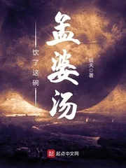《饮了这碗孟婆汤》小说封面