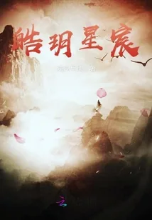 《皓玥星宸》小说封面
