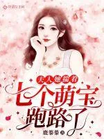 《夫人她揣着七个萌宝跑路了》小说封面