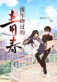 《流年吻过的:青春》小说封面
