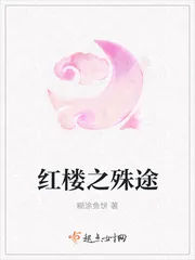 《红楼之殊途》小说封面