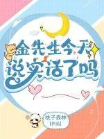 《金先生今天说实话了吗》小说封面