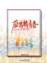 《盛世铸青春》小说封面