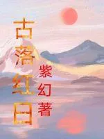 《古落红日》小说封面