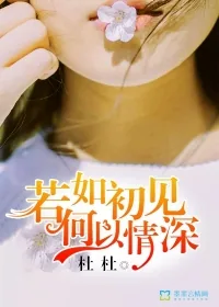 《若如初见，何以情深》小说封面